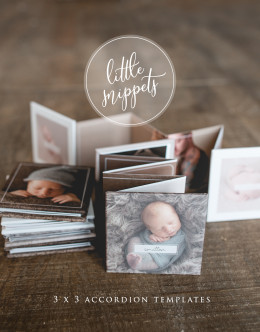 3x3 mini accordion templates, newborn