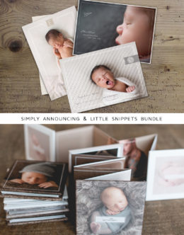 Birth Announcements and Mini Accordion
